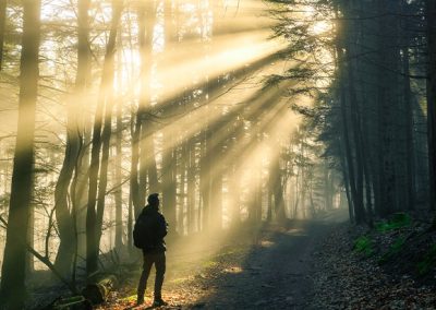 Person auf einem Waldweg im Nebel mit starken Sonnenstrahlen zwischen hohen Bäumen.