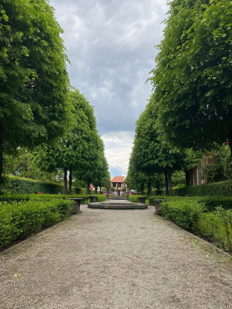 „Auszeit vom Alltag“ – Gewinnerbild Jenaplan-Gymnasium beim Schulwettbewerb 2026 der Imaging World