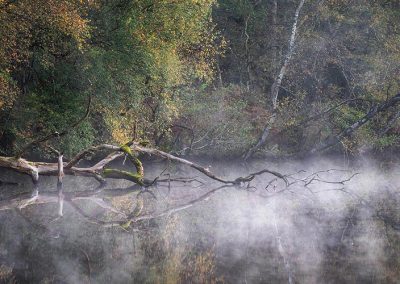 Frühmorgendlicher Nebel über einem Flusslauf – stimmungsvolle Landschaftsaufnahme aus dem Fotoworkshop von Nicolas Alexander Otto.