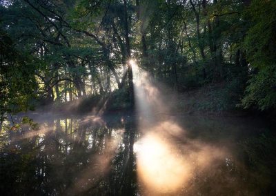 Sonnenstrahlen durchbrechen den Morgennebel über dem Wasser im Dutzendteichpark – aufgenommen beim Fotoworkshop mit Nicolas Alexander Otto.
